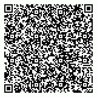 vCard 79807272500