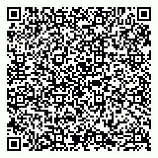 vCard 79807272528