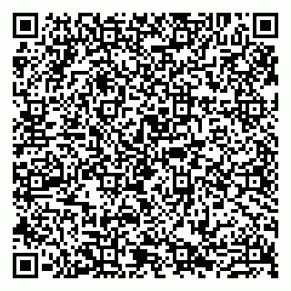 vCard 79807272529