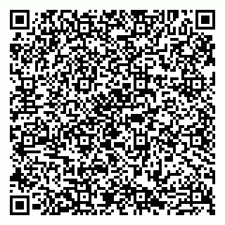 vCard 79807272535