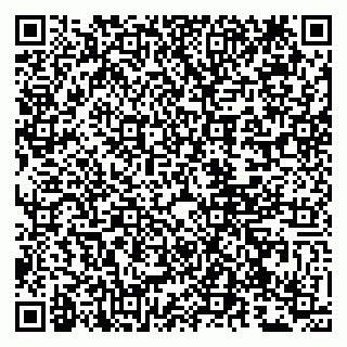 vCard 79807272536