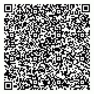 vCard 79807272538