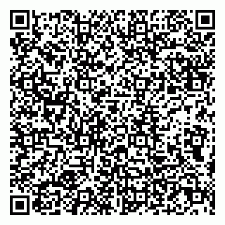 vCard 79807272631
