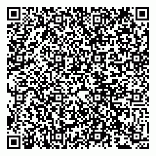 vCard 79807272699