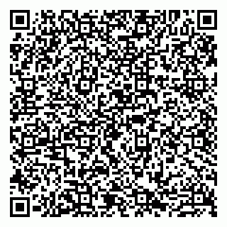 vCard 79807272735