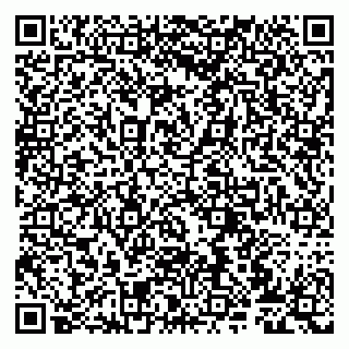 vCard 79807272833