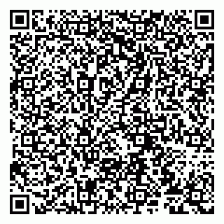 vCard 79807272876