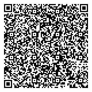 vCard 79807272879