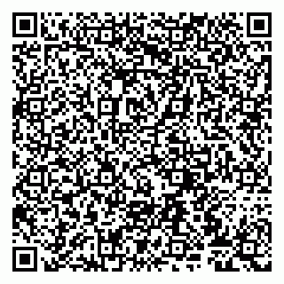 vCard 79807272900
