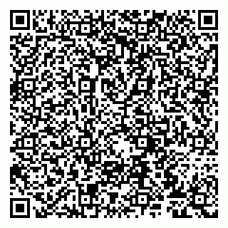 vCard 79807272907