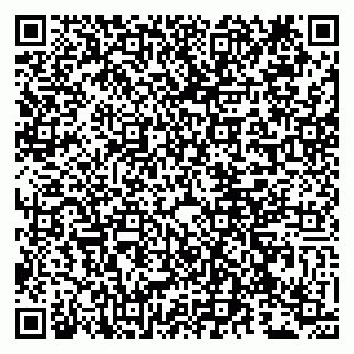 vCard 79807272909