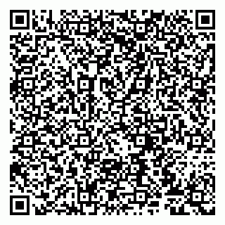 vCard 79807272910