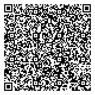 vCard 79807272913