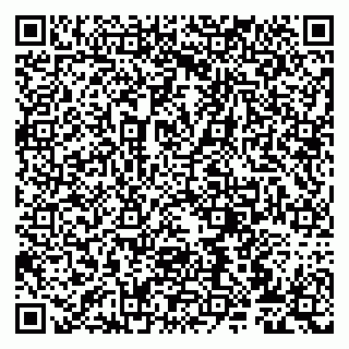 vCard 79807272933