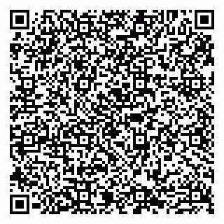 vCard 79807272935