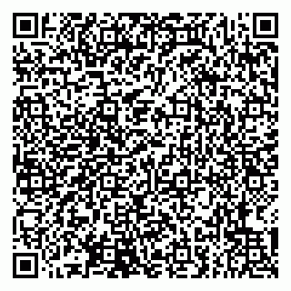 vCard 79807272937