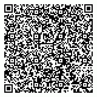vCard 79807272985