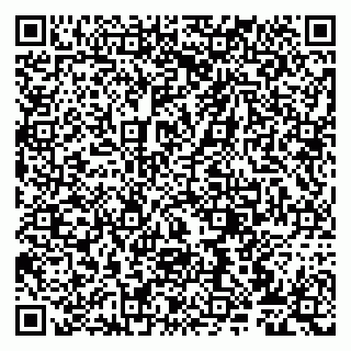 vCard 79807272987