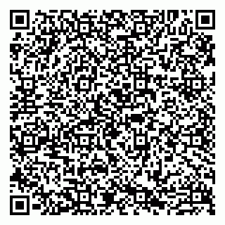 vCard 79807273004