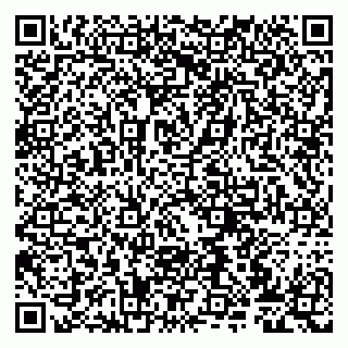 vCard 79807273009