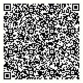 vCard 79807273032