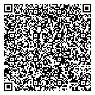 vCard 79807273087