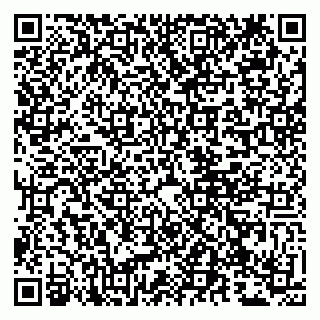 vCard 79807273099