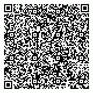 vCard 79807273100