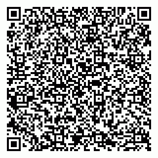 vCard 79807273104