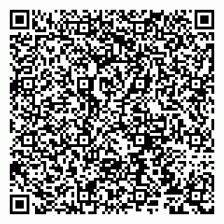 vCard 79807273125