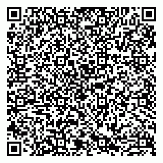 vCard 79807273138