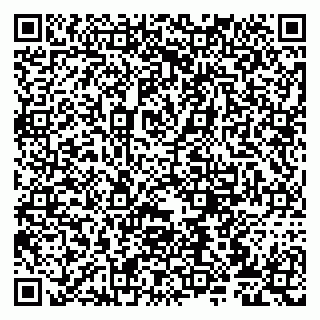 vCard 79807273187