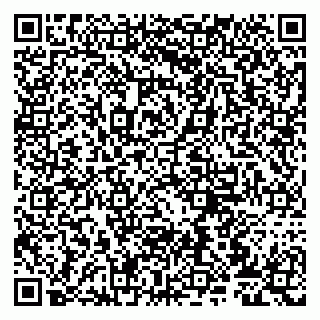 vCard 79807273201