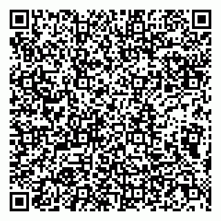 vCard 79807273203