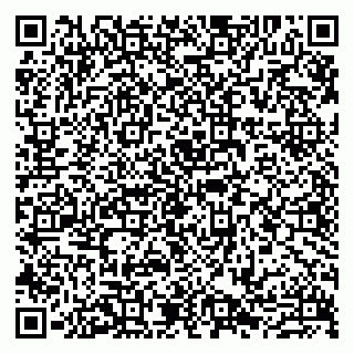 vCard 79807273204