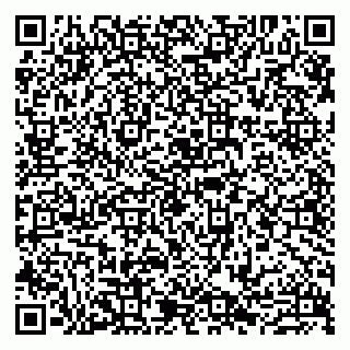 vCard 79807273205
