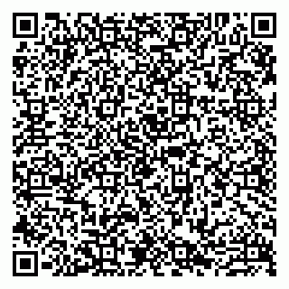 vCard 79807273209