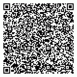 vCard 79807273210