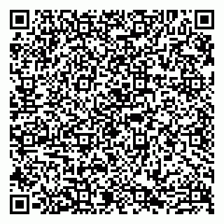 vCard 79807273211