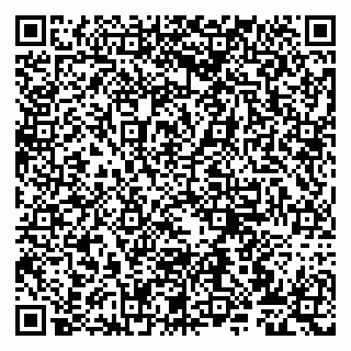 vCard 79807273213