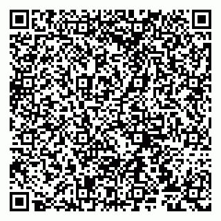 vCard 79807273214