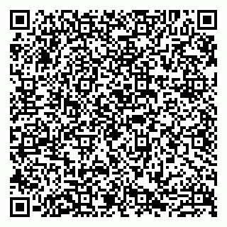 vCard 79807273217