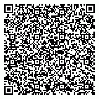 vCard 79807273219