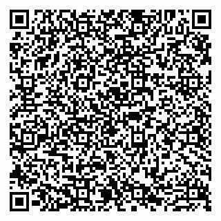 vCard 79807273225