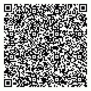 vCard 79807273231