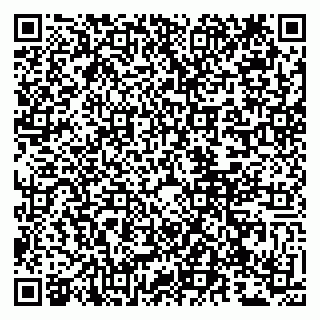 vCard 79807273239