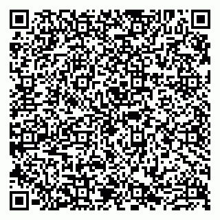 vCard 79807273240