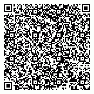 vCard 79807273249