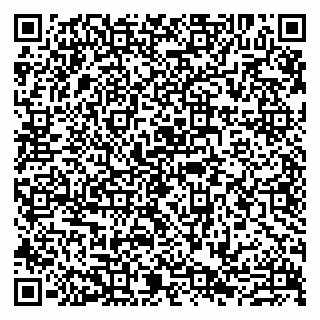 vCard 79807273251