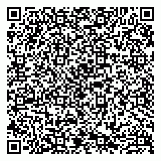 vCard 79807273271